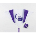 Regular Parafoil Rectangle Kite in a Bag (30"x18")